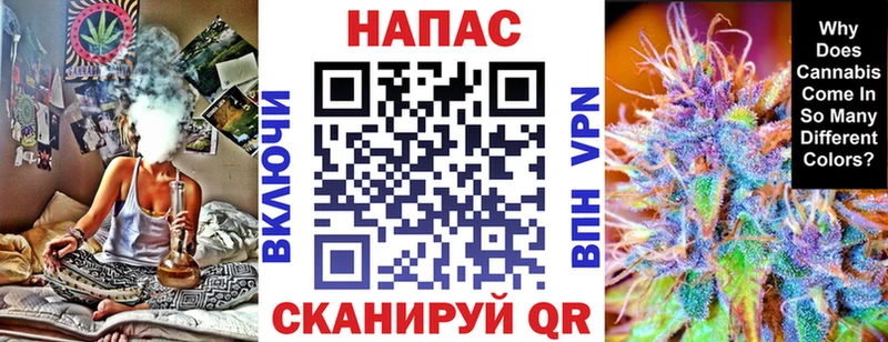 Купить где  Благодарный  Бошки Шишки конопля 